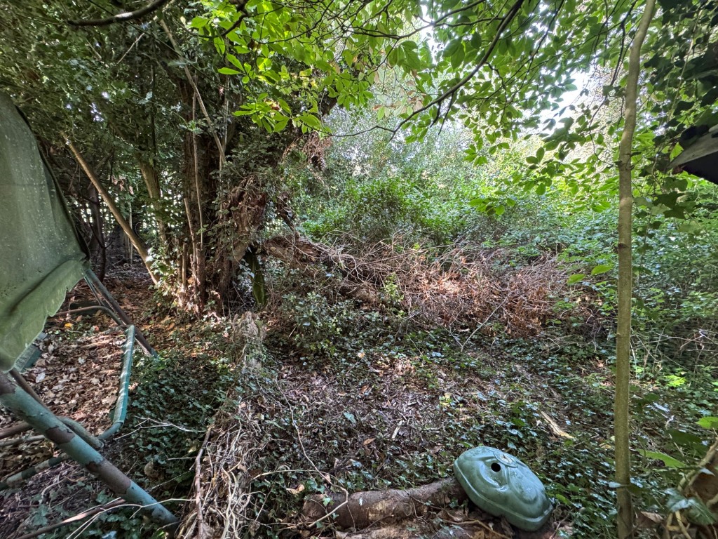Lot: 128 - DETACHED COTTAGE FOR TOTAL REFURBISHMENT IN POPULAR VILLAGE - Garden